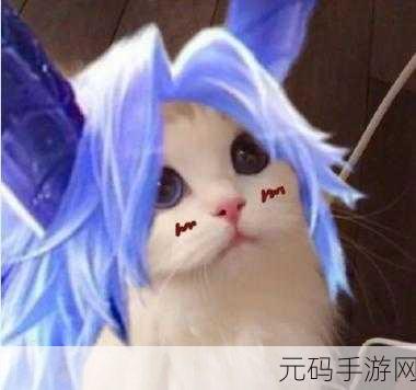 王者荣耀猫咪五虎将接头头像全解析,精彩不容错过!