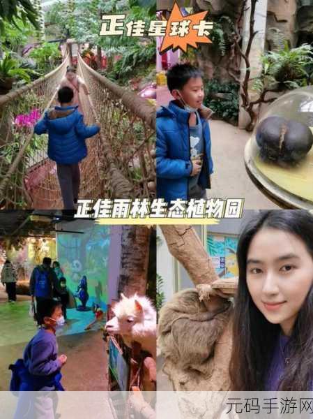 一卡二卡在线观看,精彩内容双线畅玩