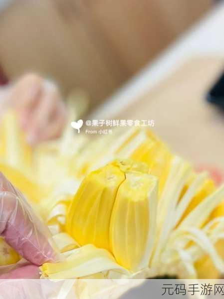 菠萝菠萝蜜在线观看免费，菠萝菠萝蜜：冒险大作战