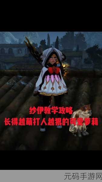 黑色沙漠，奈鲁装备提升全攻略