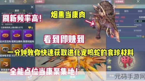 妄想山海如何开启宠物之路,妄想山海:萌宠养成攻略大全