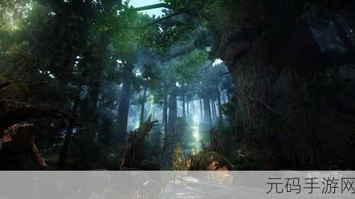 探秘黑色沙漠,深度解读倾向值判定规则