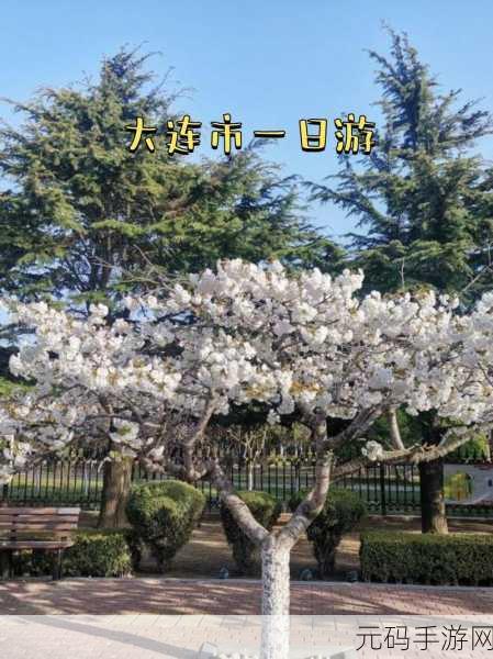 久久精品一区二区三区樱花岛,樱花物语:精彩冒险之旅