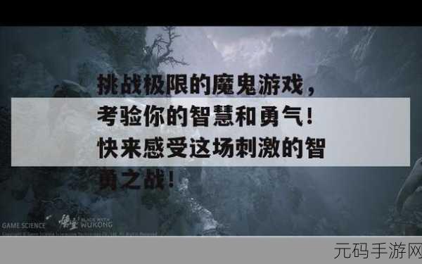 玩家会开宝箱吗新游戏发布,趣味冒险闯关,挑战你的智慧与勇气