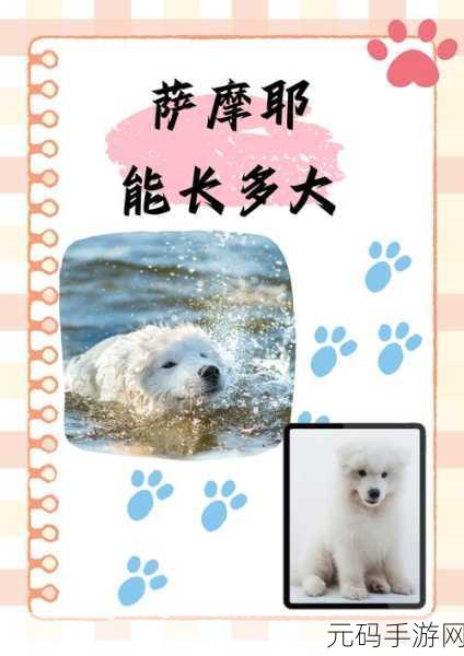 人与狗的dna播放方式,萌宠基因大作战