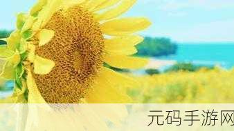 向日葵视频站长统计下载，向日葵数据助手