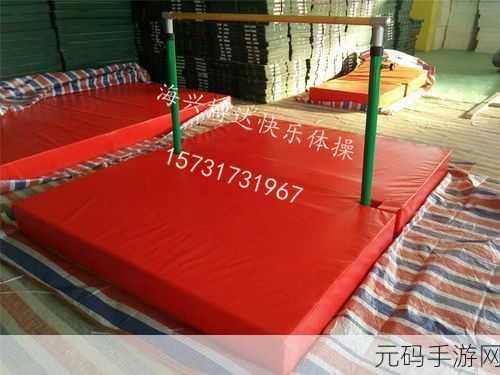 体操运动游戏全新版本震撼发布,休闲体育新体验等你来探索