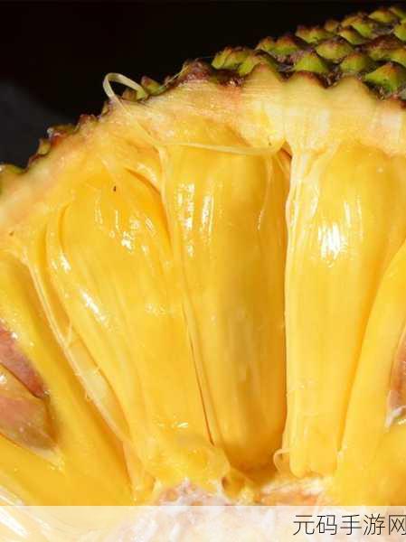 菠萝蜜视频，菠萝视频