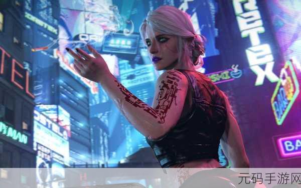 2077性伴,赛博伴侣2077