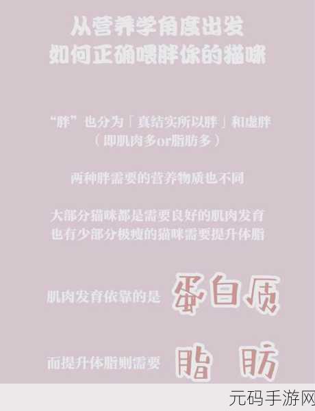 悠长假期宠物喂养秘籍大公开
