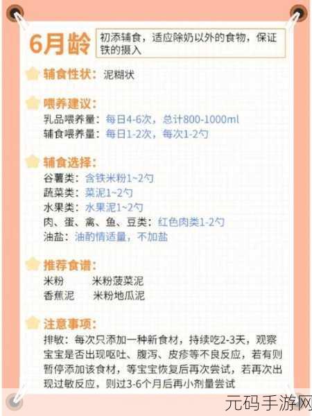 悠长假期宠物喂养秘籍大公开