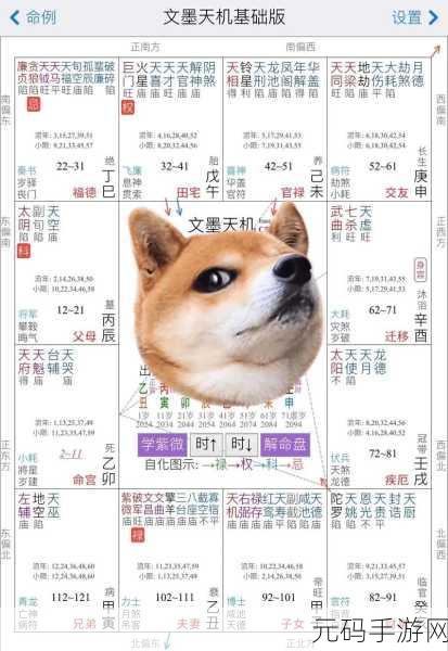 gogogo高清在线排盘,命运罗盘-专业紫微斗数排盘大师