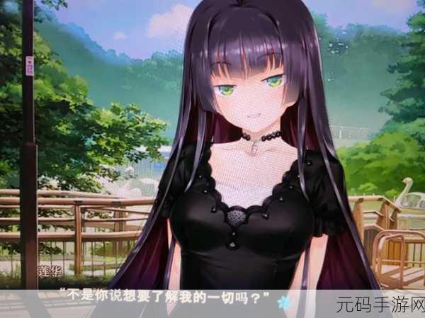 美少女万华镜5,魔法少女物语:镜界传说