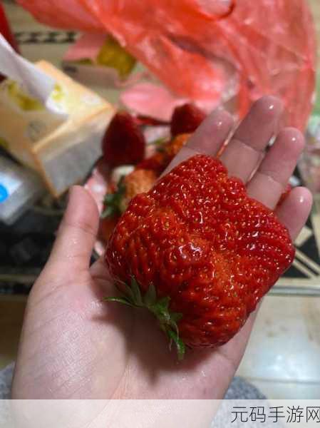 x草莓视频,草莓时刻