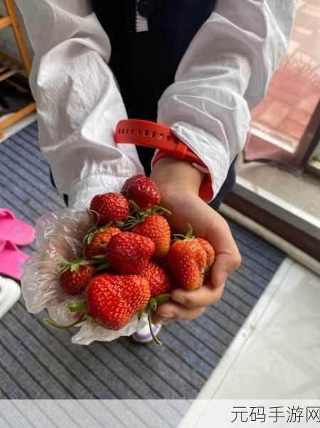 x草莓视频,草莓时刻