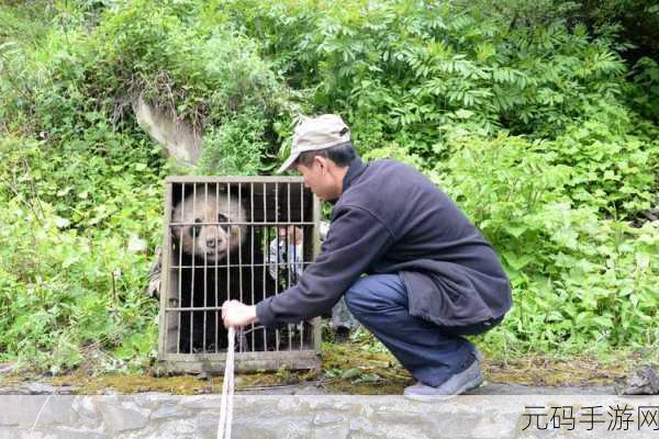 大熊猫捡到游客的伞还给撑开了,【萌宠】熊猫宝宝撑伞日常:这个还你,我先试试!
