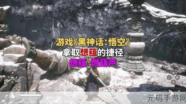 探秘黑神话悟空想蕴支线,通关秘籍大公开