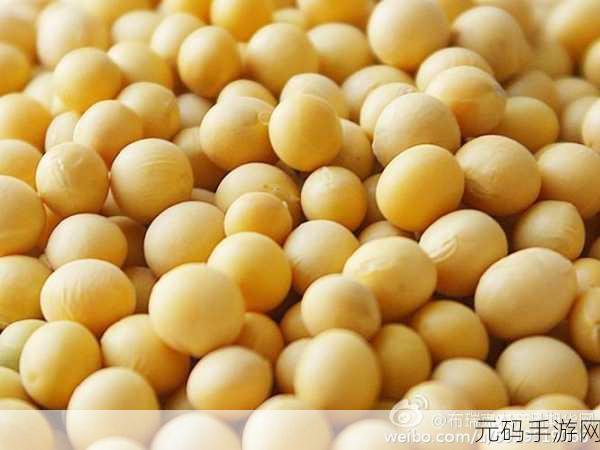 啦啦啦大豆行情网51的功能介绍，大豆行情通-掌上农产品价格查询工具
