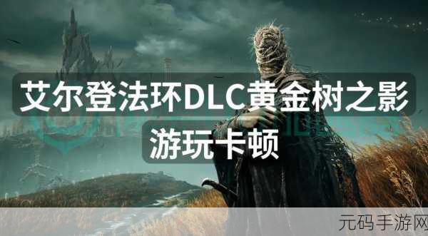 艾尔登法环进游戏闪退，艾尔登法环手游闪退问题解决方法
