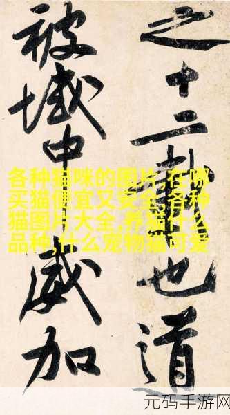 md豆传媒一二三区,MD豆短视频