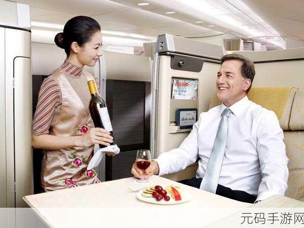头等舱客服的待遇2中字，VIP玩家专属客服特权