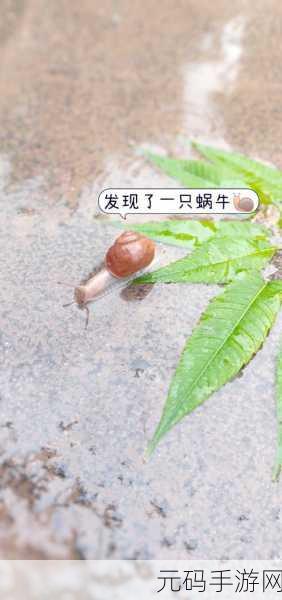 探秘最强蜗牛虫洞装置的神奇用途