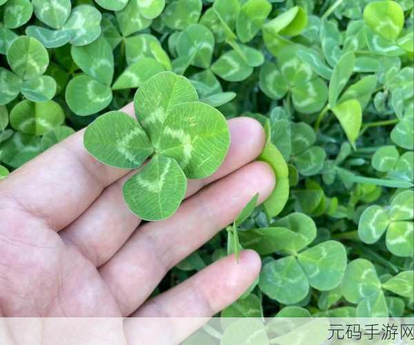 四叶草入口,幸运花园