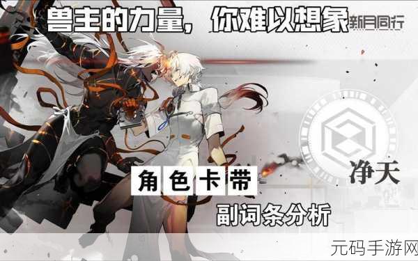 新月同行净天配队与卡带搭配秘籍,致胜关键全解析