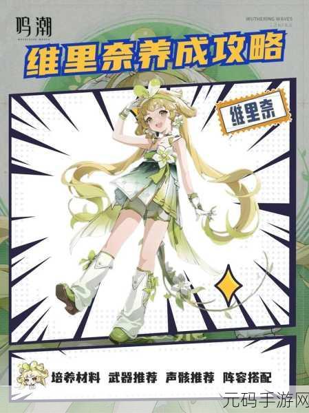 2024 鸣潮维里奈震撼来袭,高清立绘与超强技能全解析