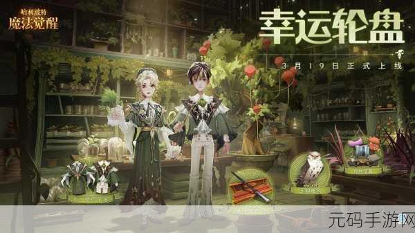 哈利波特魔法觉醒,哈利金卡价值深度剖析与实战攻略