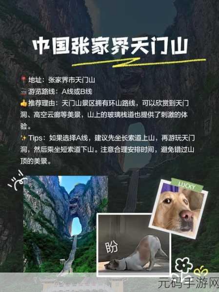 已满18点此进入,点击确认年龄,开启冒险之旅