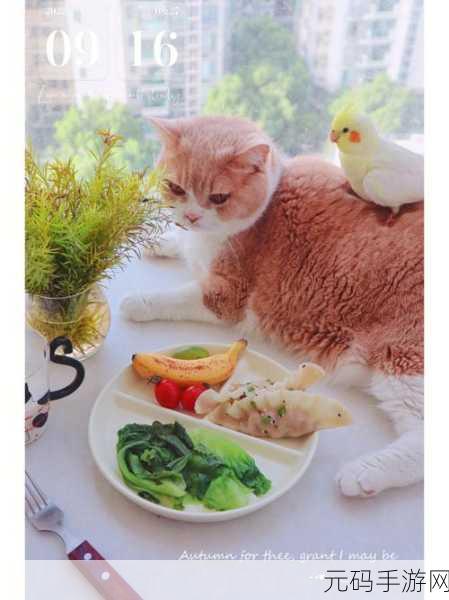狗狗食物卡车,模拟经营新游火爆上线,打造你的萌宠美食帝国