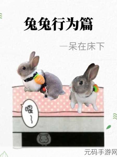 同桌的两个大兔子在衬衫里抖来抖去，兔兔女友的衬衫诱惑