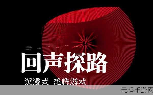 回声探路器械秘籍大揭秘