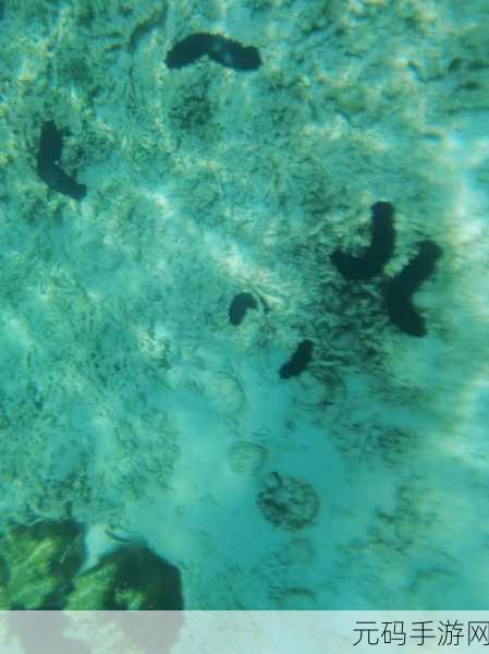 海底世界模拟游戏深海奇缘震撼发布，探索未知海域，与海洋生物共舞
