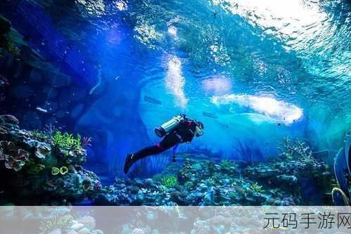 梦幻冒险新纪元，利休下载震撼发布，探索未知世界的奇妙之旅