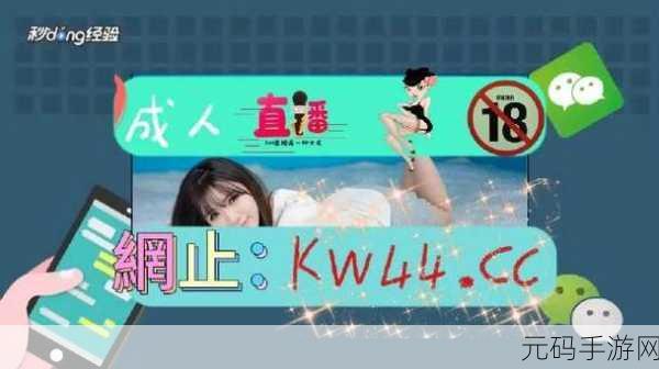 fulao2安卓国内载点1使用方法,热门手游国内安装指南