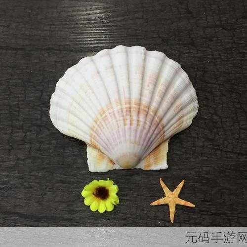 一人 上面 下感扇贝动,一指上下滑动 感受贝壳世界