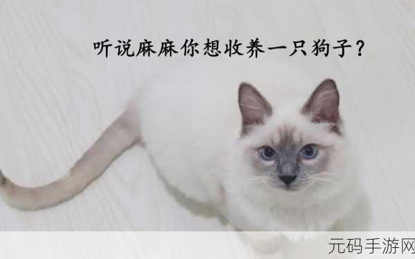 变成小猫咪英文版下载开放——Falcon Development新游探索像素世界的奇妙之旅