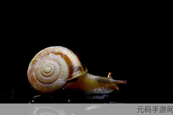 漂亮蜗牛英文版新游戏发布,消除类益智小游戏的清新风潮
