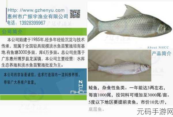 妄想山海,探寻陵鱼鱼苗神秘垂钓点