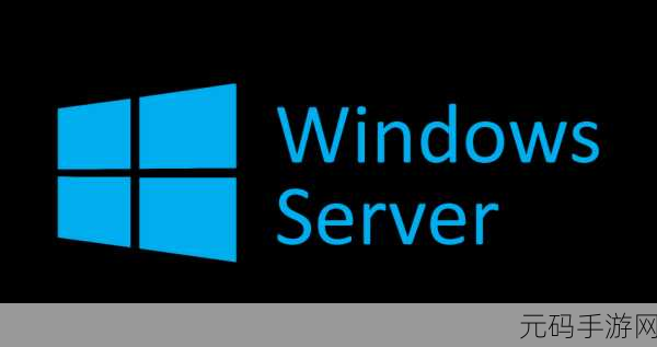 日本windowsserver下载,日服游戏加速器:Windows服务器下载