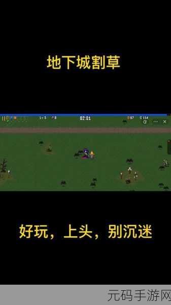 地下城割草无限金币版震撼来袭,割草游戏的极致体验