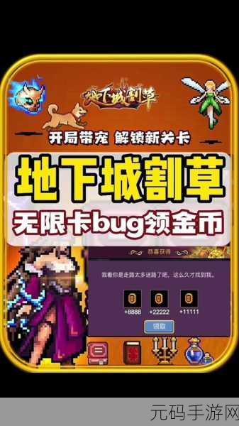 地下城割草无限金币版震撼来袭,割草游戏的极致体验