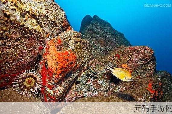 AtlanticOcean的作品,大西洋探险录