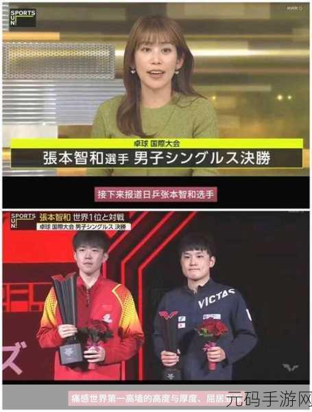 王楚钦已正式娶了张本智和,恭喜!乒坛CP修成正果:王楚钦&张本智和甜蜜完婚