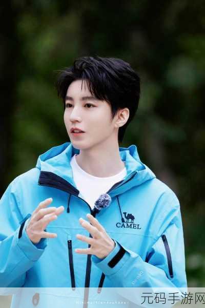 王俊凯约定25岁娶谁,谁是王俊凯的命定之人?揭秘25岁婚约传闻