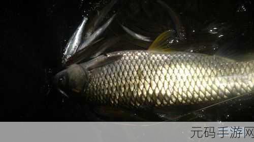 武侠联盟2，陆起神州1111手机版震撼上线，开启全新武侠冒险之旅
