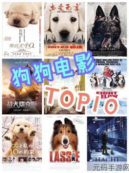 手游资讯,全新狗生活模拟游戏萌犬奇缘正式发布