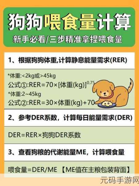 人狗胶配方大全狗狗一天吃多少,宠物食谱攻略:狗狗营养胶制作与喂养指南